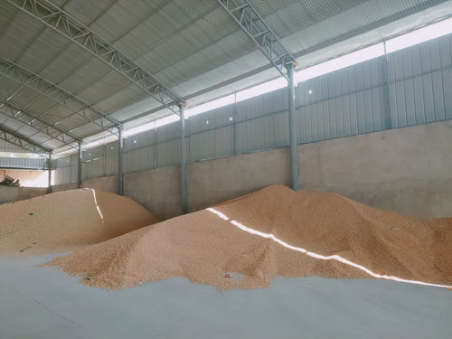 中國銀行甘肅省分行 精準服務涉農(nóng)企業(yè)發(fā)展 高效助力 和美鄉(xiāng)村 創(chuàng)建