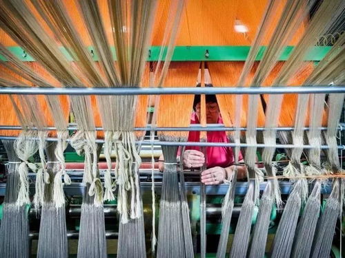 美國出口管制清單新增14類技術，特種紡織品貿易面臨新挑戰